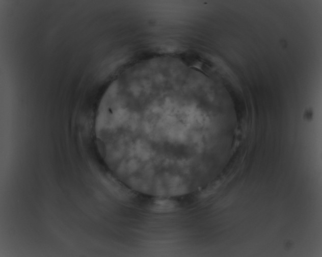 X0000091550376200708311359