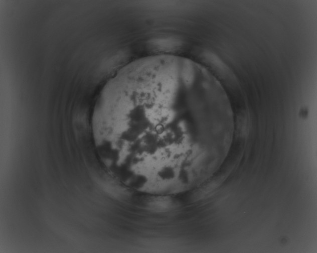 X0000091550377200708311359
