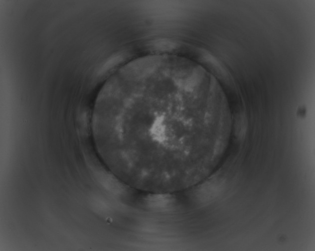 X0000091550378200708311359