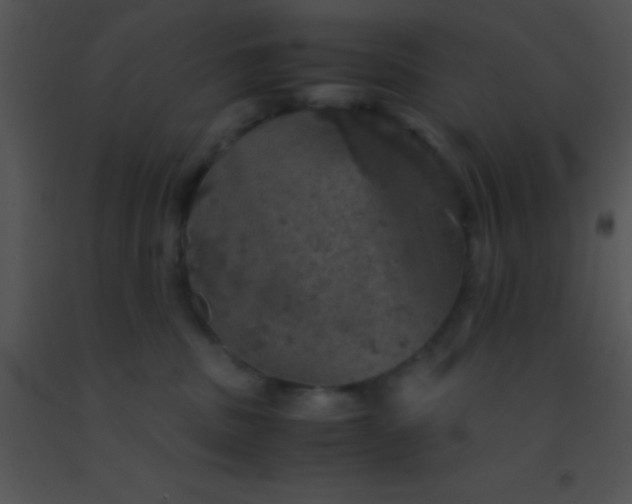 X0000091550379200708311359