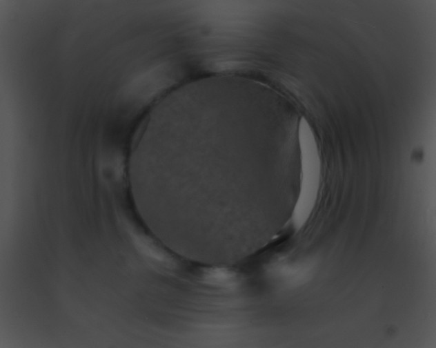 X0000091550380200708311359