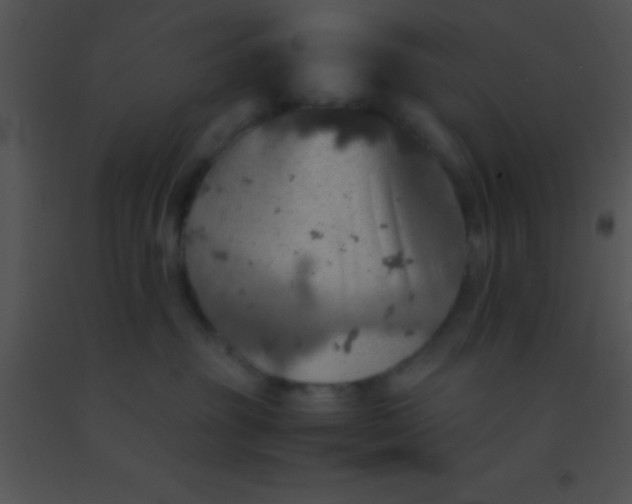 X0000091550381200708311359