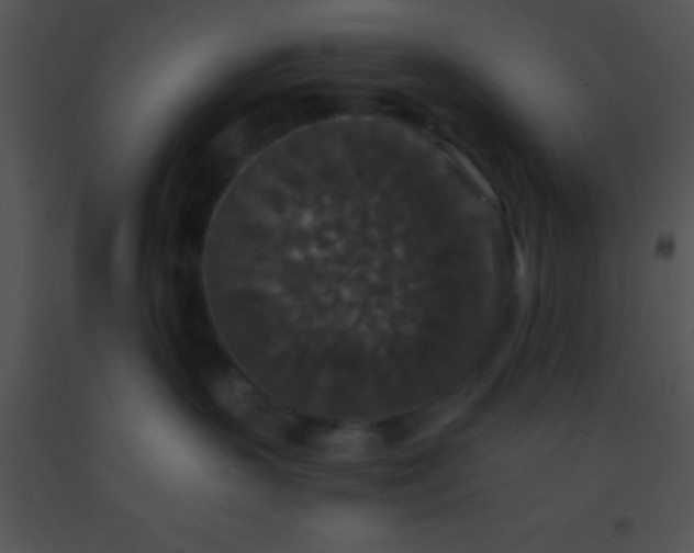 X0000091550383200708311359