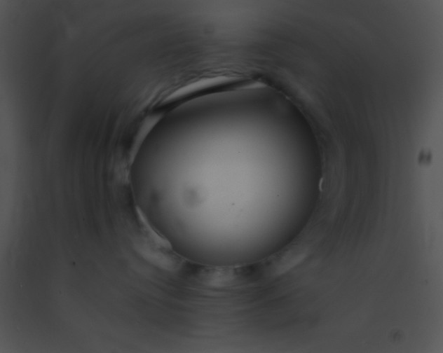 X0000091550384200708311359