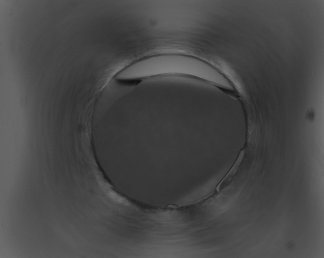 X0000091550385200708311359