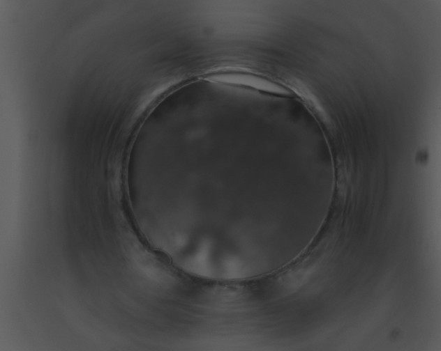 X0000091550386200708311359