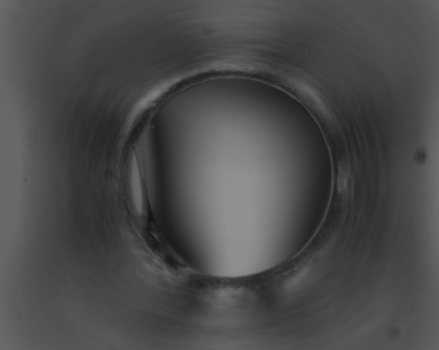 X0000091550388200708311358