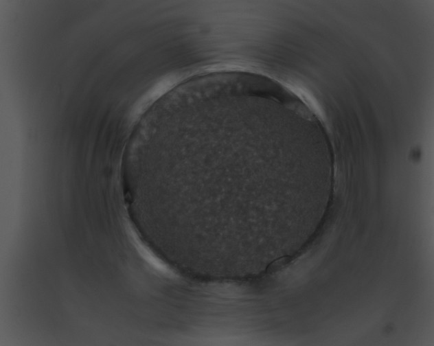 X0000091550389200708311358