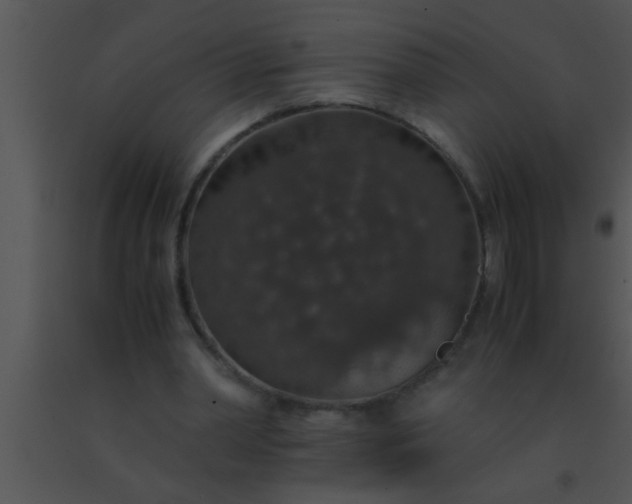 X0000091550390200708311358