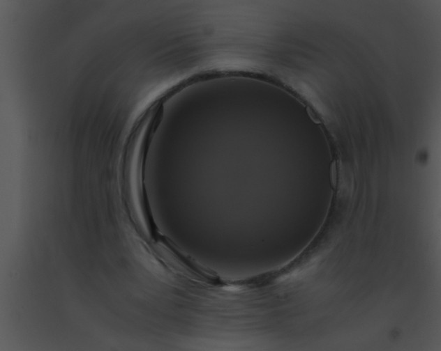 X0000091550391200708311358