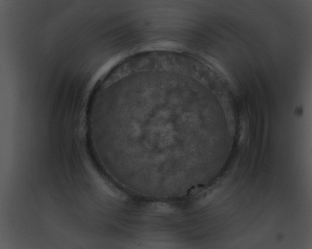 X0000091550392200708311358