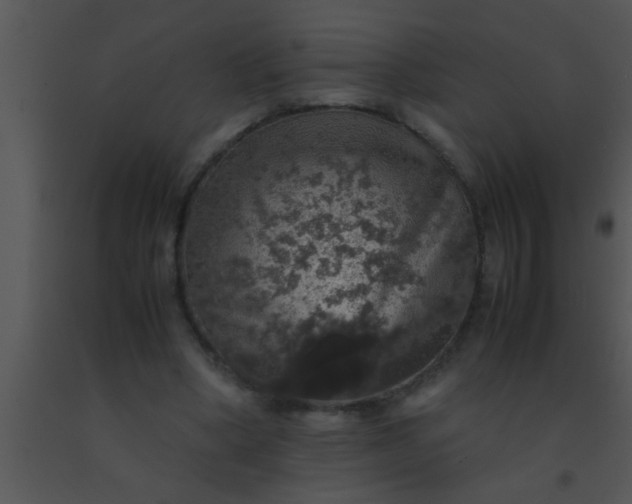 X0000091550394200708311358