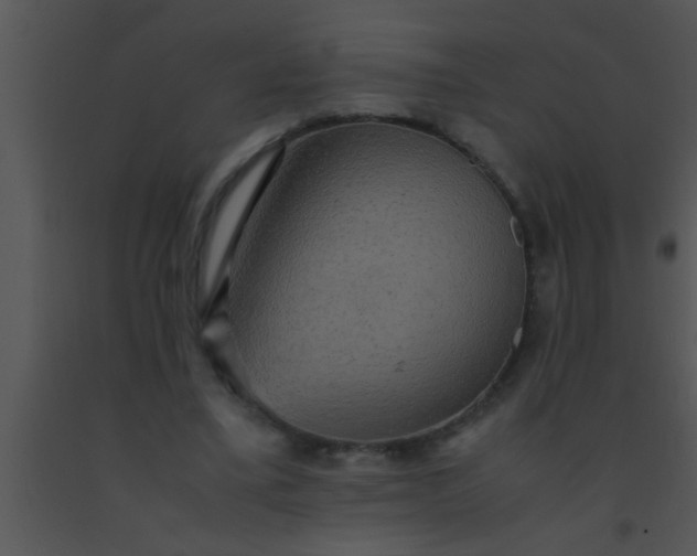 X0000091550395200708311358