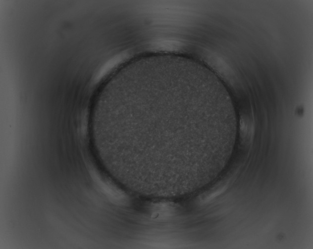 X0000091550396200708311358