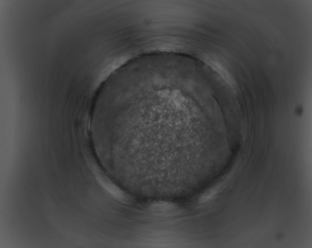 X0000091550397200708311358