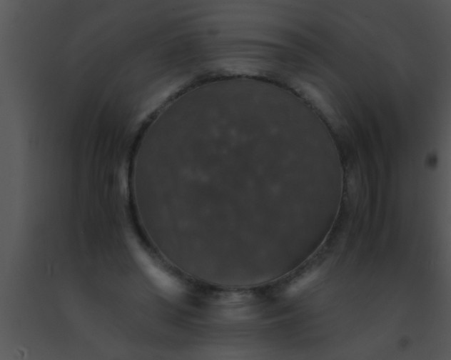 X0000091550398200708311358