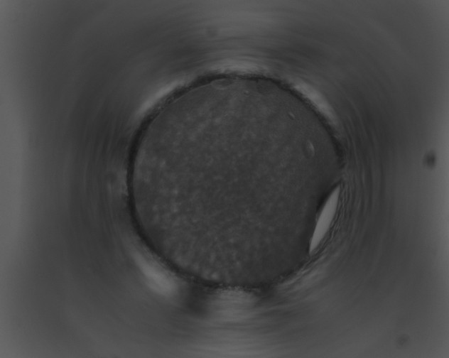X0000091550399200708311358