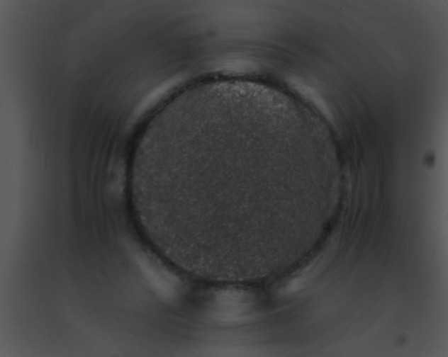 X0000091550400200708311358
