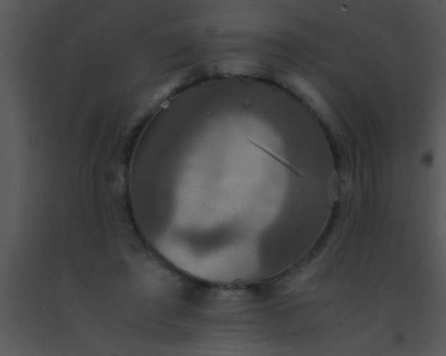 X0000091550401200708311358