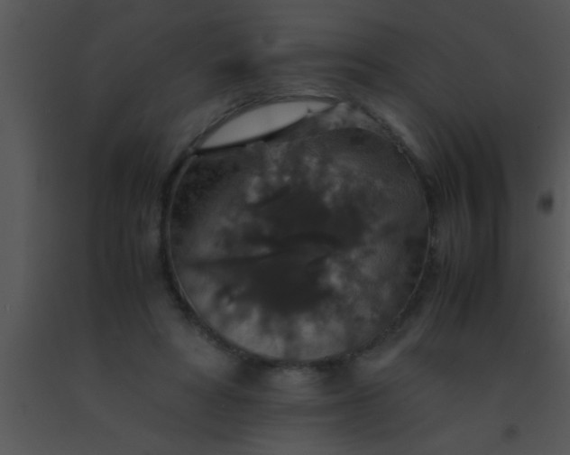X0000091550402200708311358