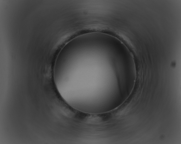 X0000091550403200708311358