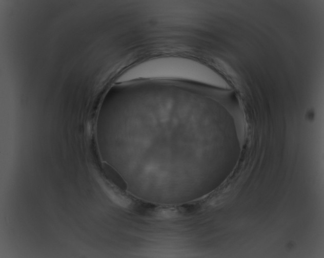 X0000091550405200708311358