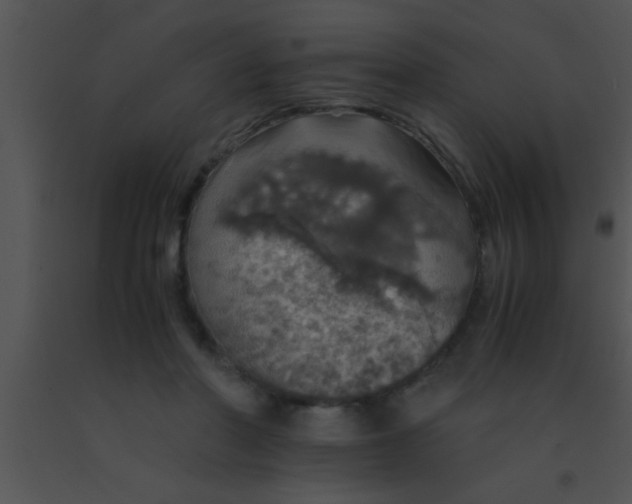 X0000091550406200708311358