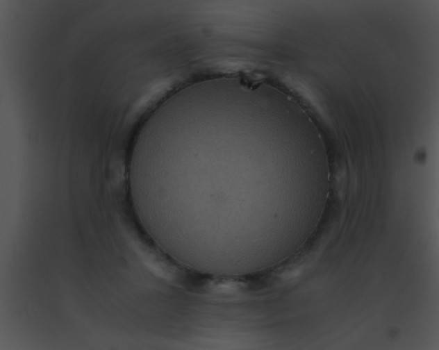 X0000091550407200708311358