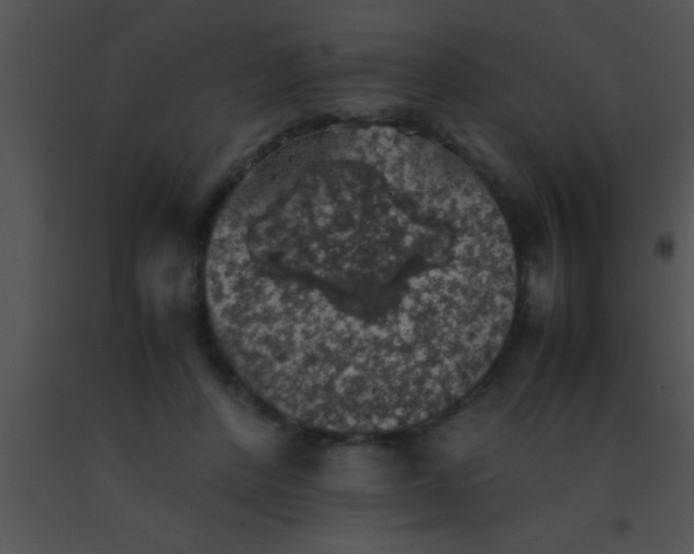 X0000091550408200708311358