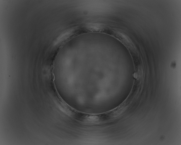 X0000091550409200708311358
