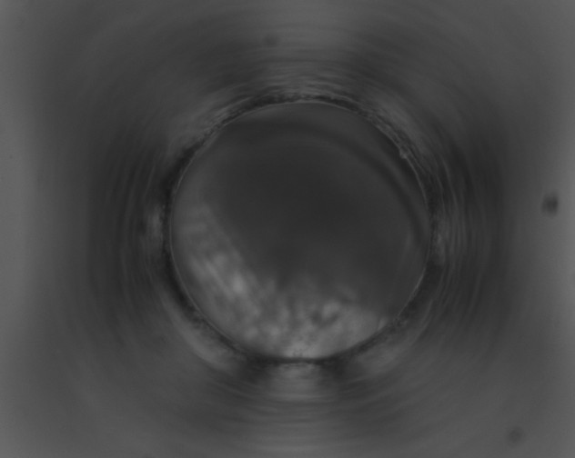 X0000091550410200708311358