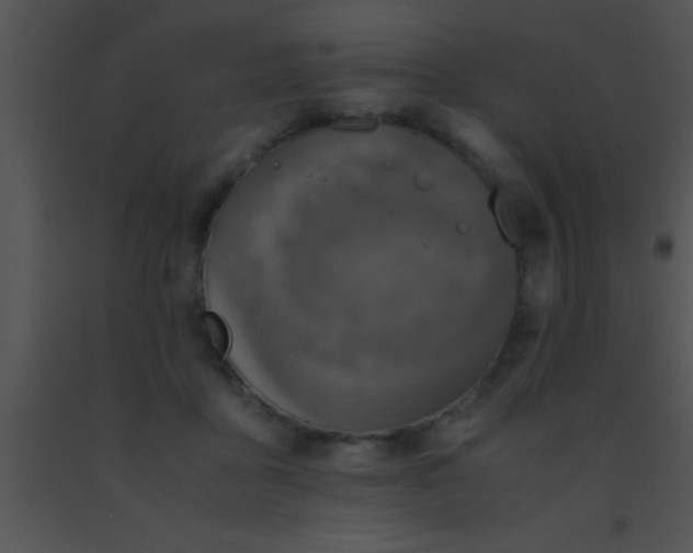 X0000091550411200708311358