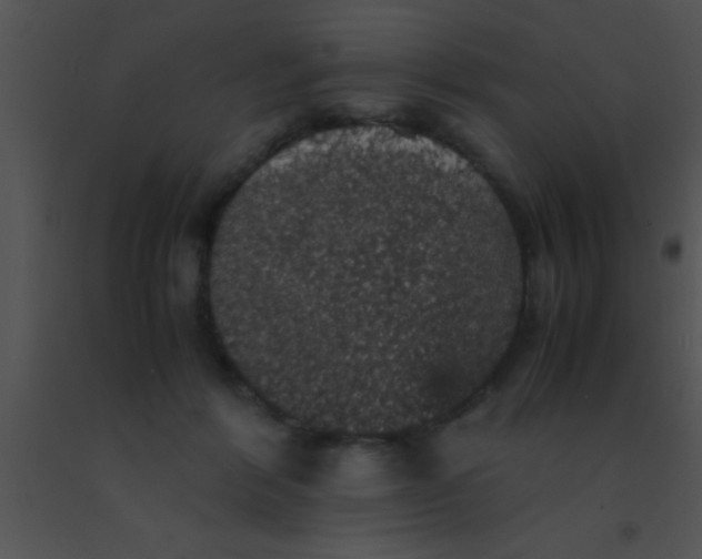 X0000091550412200708311358