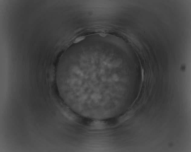 X0000091550413200708311358