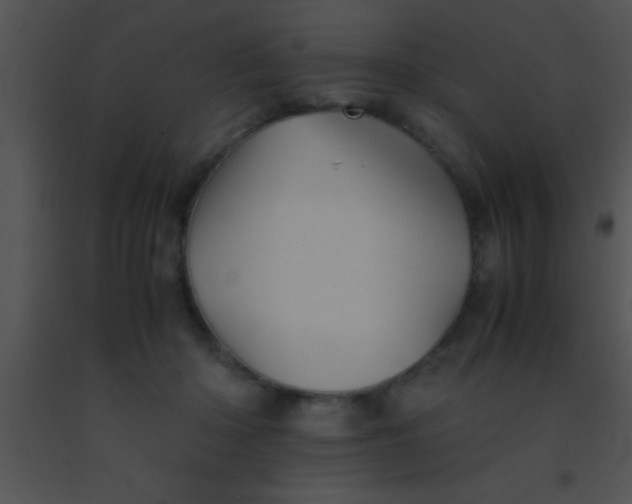 X0000091550414200708311358