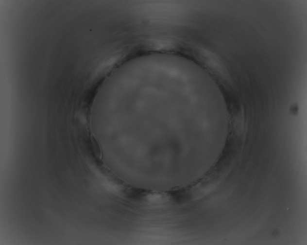 X0000091550415200708311358