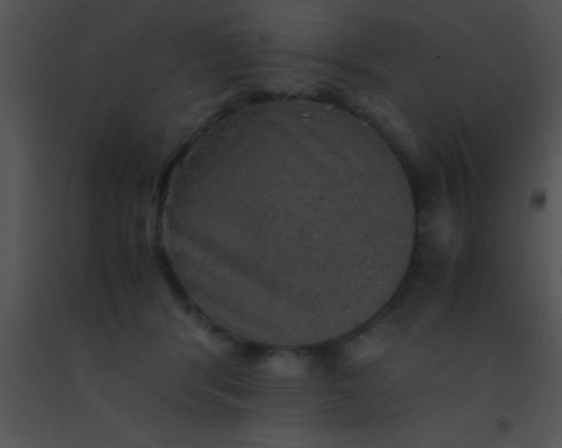 X0000091550416200708311358