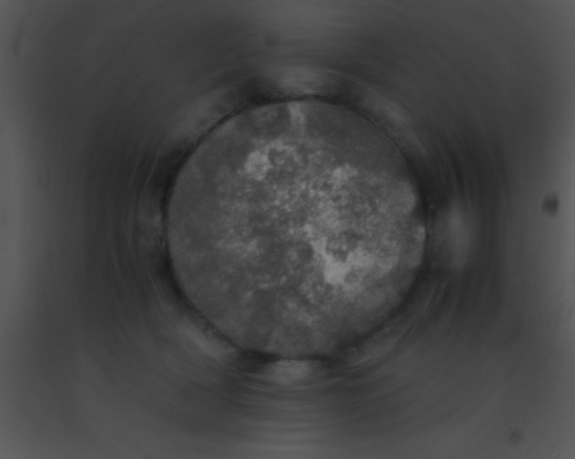 X0000091550418200708311358