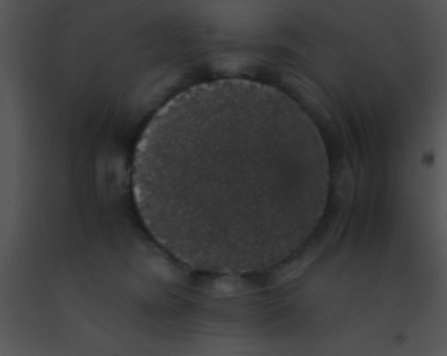 X0000091550420200708311358