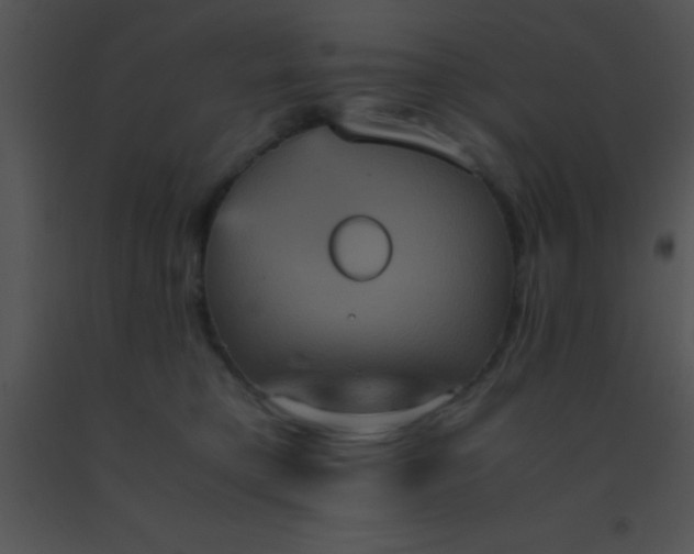 X0000091550421200708311358