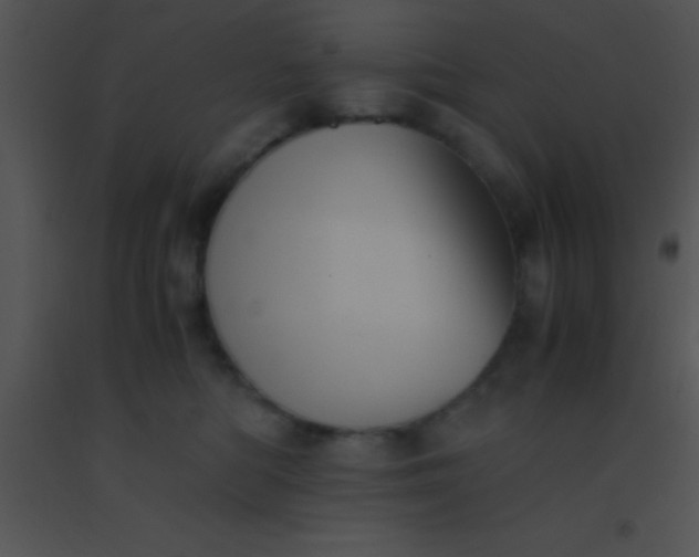 X0000091550422200708311358