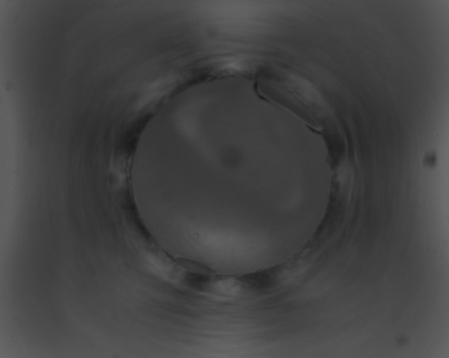 X0000091550423200708311358