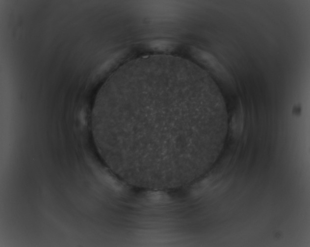 X0000091550424200708311358