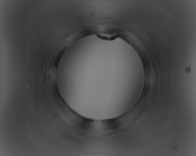 X0000091550425200708311358