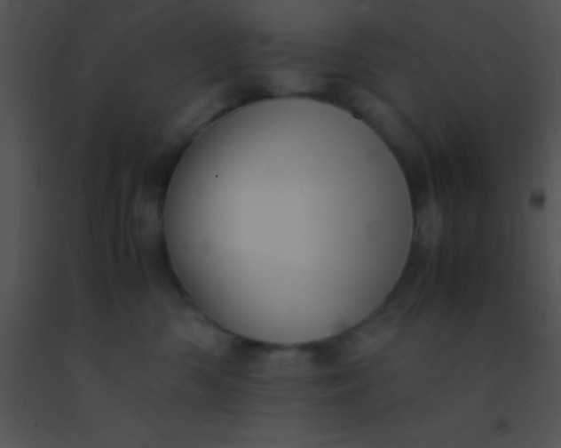 X0000091550426200708311358