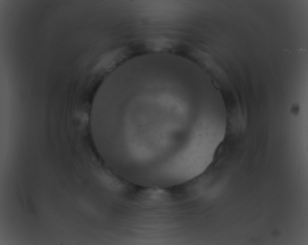 X0000091550427200708311358