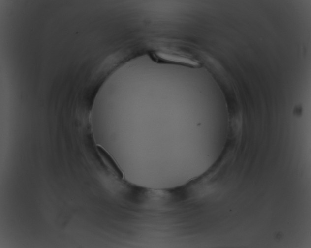 X0000091550429200708311358