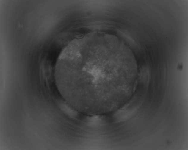 X0000091550430200708311358