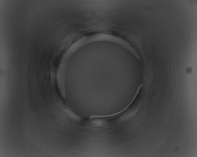 X0000091550432200708311358