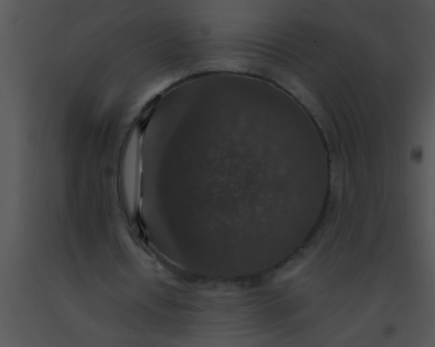 X0000091550434200708311357